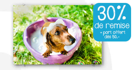 30% sur tous les produits photos + le port gratuit à partir de 50.- 30% sur tous les produits photos + le port gratuit à partir de 50.- 30% sur tous les produits photos + le port gratuit à partir de 50.-