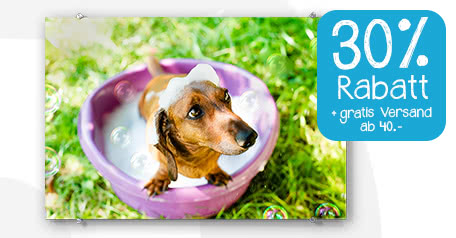30% Rabatt auf alle Fotoprodukte+ gratis Versand ab 40.- 30% Rabatt auf alle Fotoprodukte+ gratis Versand ab 40.- 30% Rabatt auf alle Fotoprodukte+ gratis Versand ab 40.-