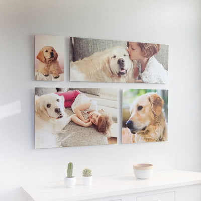Gör en Postertavla Galleri