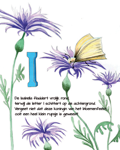 preview-Kaft