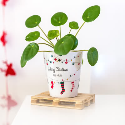 Bloempot