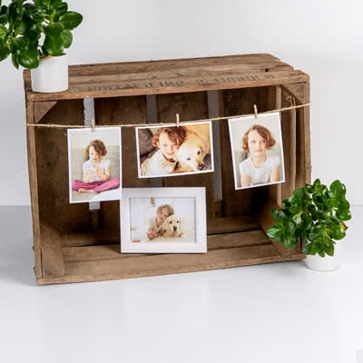 Supreme Bilder 9 x 13 Supreme Bilder 9 x 13